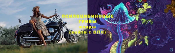 тгк Михайловка