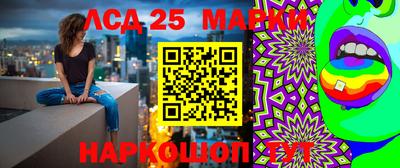 СК Балашиха