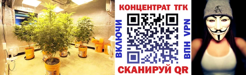 МЕГА зеркало  как найти наркотики  Морозовск  Дистиллят ТГК жижа 