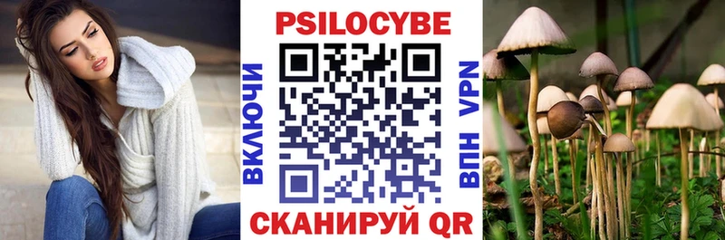 Псилоцибиновые грибы Psilocybine cubensis  Морозовск 