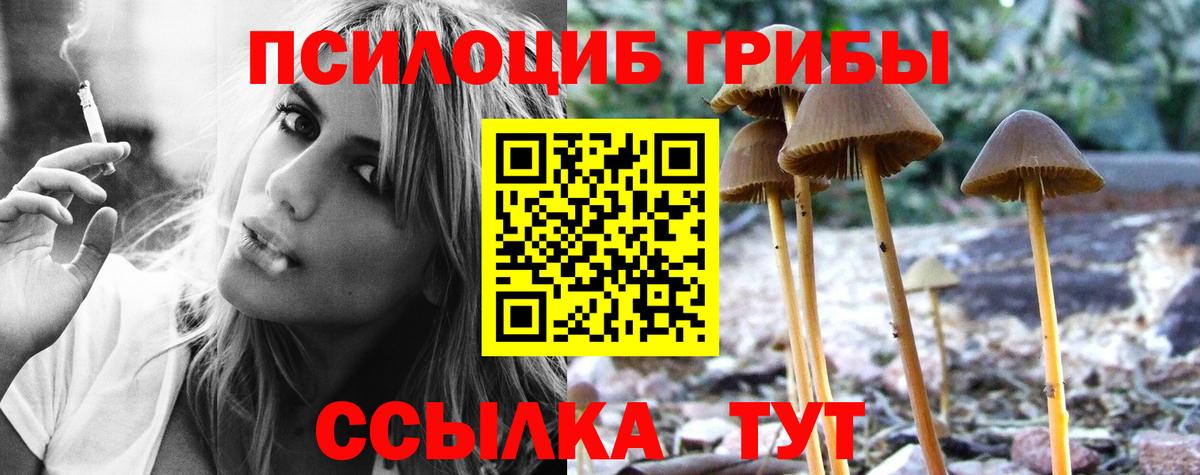 Галлюциногенные грибы Psilocybine cubensis  Морозовск 